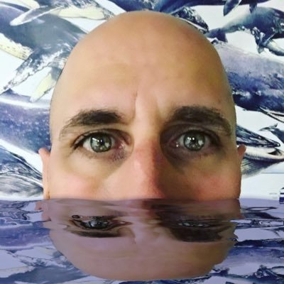 Chris Lilienthal - Twitter Profile Picture of Chris Lilienthal (@liliatsea) on Twitter