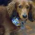 Profile Picture of Chip Schaefer (@chip.schaefer.1) on Facebook