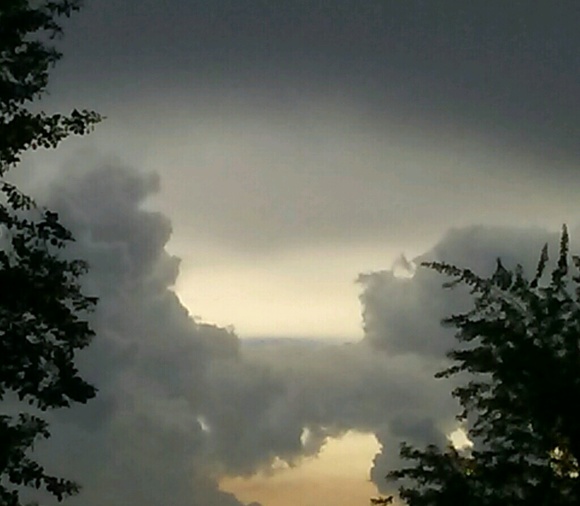 Profile Picture of David Pyle (@hootie911) on Poshmark