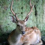 Profile Picture of Erik Boman Hjorth (@erikhjorth98) on Instagram