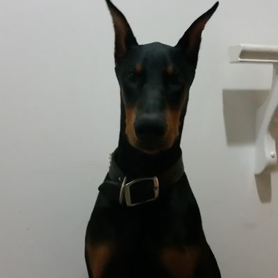 Profile Picture of Kyle Sell (@KyleSell3) on Twitter
