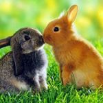 Profile Picture of Scotto (@hector.scotto.1) on Instagram