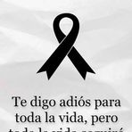 Profile Picture of Rosa Sequeira García (@Rosa-Sequeira-García) on Facebook