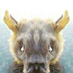 Profile Picture of Jeremy Wright (@wickerman777) on Instagram