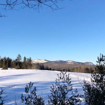 Profile Picture of Sam Watters (@sam__watters) on Twitter