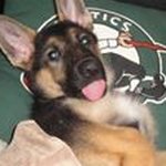 Profile Picture of Kevin Bianco (@biancokevin) on Instagram