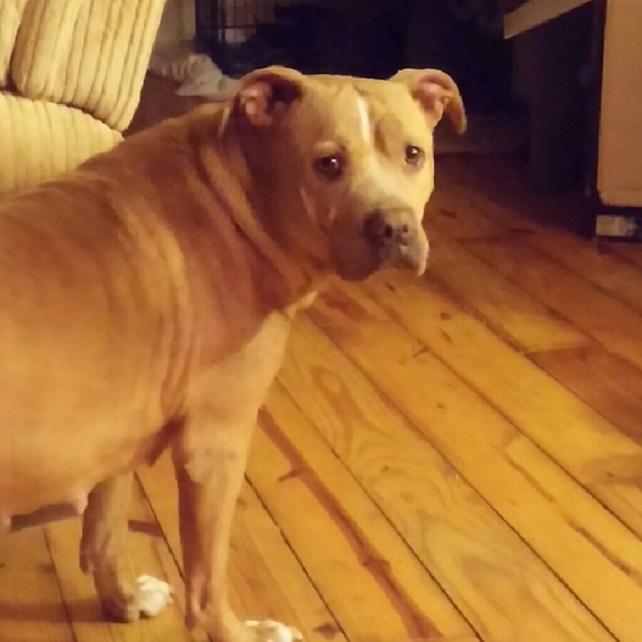 Rhonna Rhoden - Poshmark Profile Picture of Rhonna Rhoden (@rhonnarhoden) on Poshmark