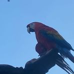 Profile Picture of Jose Maicon (@Jose-Maicon) on Facebook