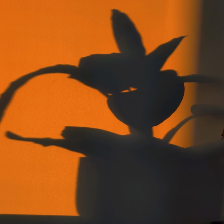 Profile Picture of ericblevins (@a4suitcase) on Tiktok