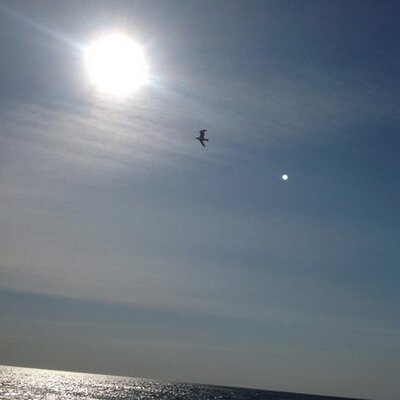 Profile Picture of Kevin Pfenning (@RutlandDpw22) on Twitter