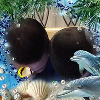 Profile Picture of Robert Ha (@robert-ha-19) on Quora