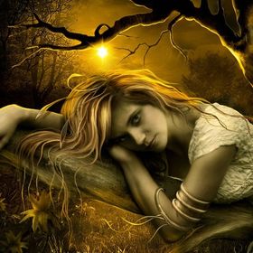 Profile Picture of Robin rogers (@robin39rogers) on Pinterest