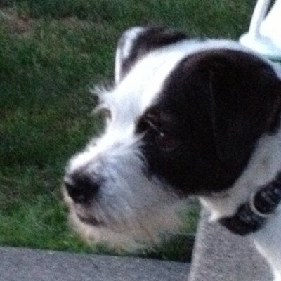 Vikki Cooper - Twitter Profile Picture of Vikki Cooper (@vcooper97527) on Twitter