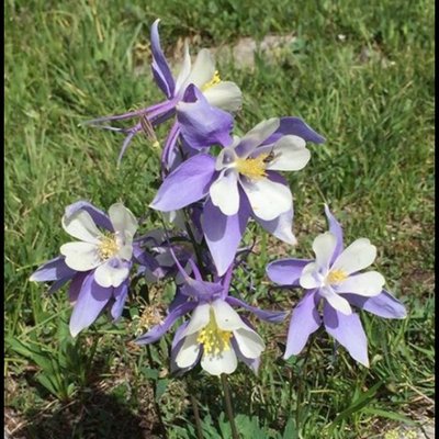 Profile Picture of Hope Connors (@hope3hope4) on Twitter