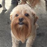 Profile Picture of Chuck Hackney (@noble_barnes_) on Instagram