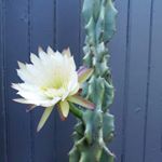 Profile Picture of Evan Jacob (@_evanjacob_) on Instagram