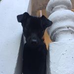 Profile Picture of Marco Ceccarello (@marco.ceccarello.5) on Instagram
