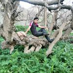 Profile Picture of David Rahimi5000 (@david517500) on Instagram