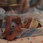 Kelly Markham - Instagram Profile Picture of Kelly Markham (@kmmarkham80) on Instagram