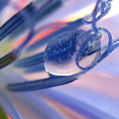 Profile Picture of Adam Waligóra (@AdamWaligra1) on Twitter