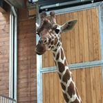 Profile Picture of richardjokinen (@richardjokinen) on Instagram