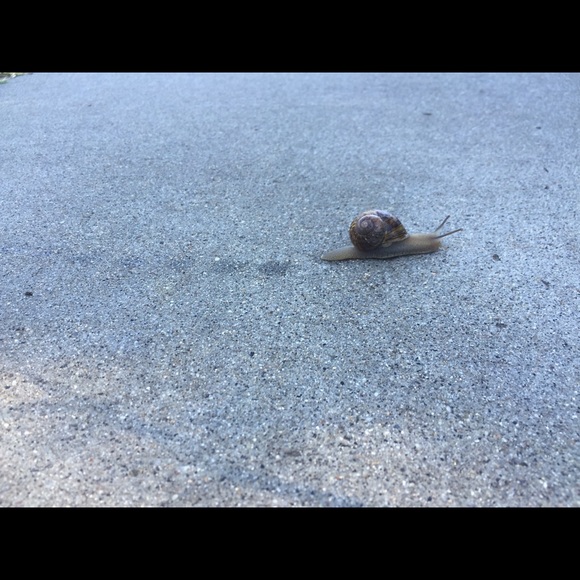 Profile Picture of Lindsay Bohmfalk (@lbohmfalk) on Poshmark