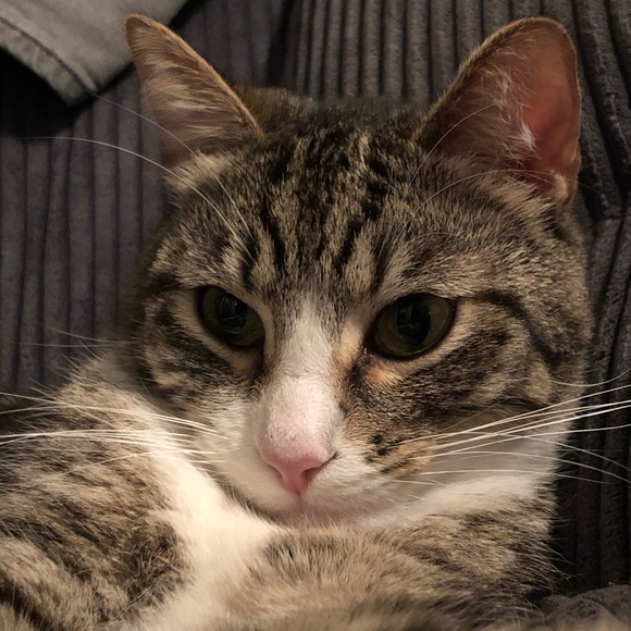 Profile Picture of Jason Define (@jasondef718) on Poshmark