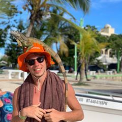 Profile Picture of David Waliczek (@davidwaliczek) on Tiktok