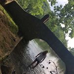 Profile Picture of Ava Cuttino (@ava_cutts1) on Instagram