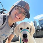 Profile Picture of Bella Scott (@dandydog_bella) on Instagram