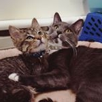 Profile Picture of Theodore & Benjamin (@theodore.benjamin) on Instagram