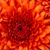 Profile Picture of Jason Fothergill (@jasonfothergill2169) on Youtube