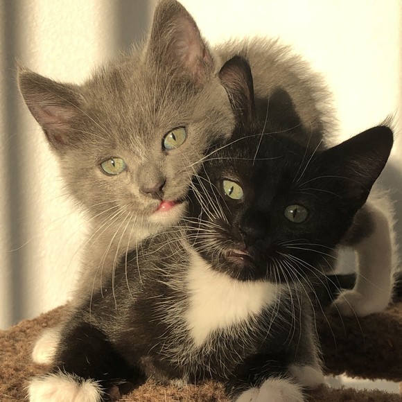 Profile Picture of Jw Dupon (@jwdupon) on Poshmark