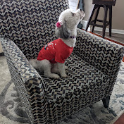 Profile Picture of Kimberly Lowe (@kimberlylowe5336) on Youtube