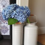 Profile Picture of Jaime (@co.down_home_renovation) on Instagram