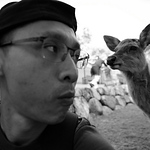 Profile Picture of Larry Tsai (@Carrot Is Carrot) on Flickr