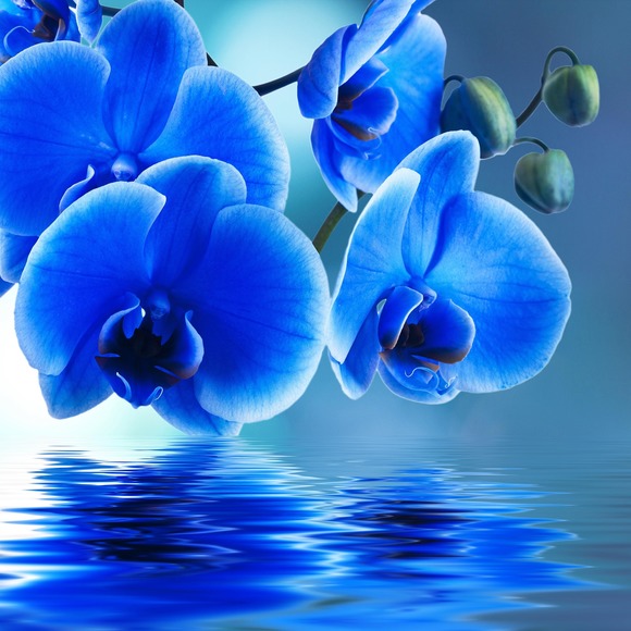 Profile Picture of Brenda Sanden (@bmsanden26) on Poshmark