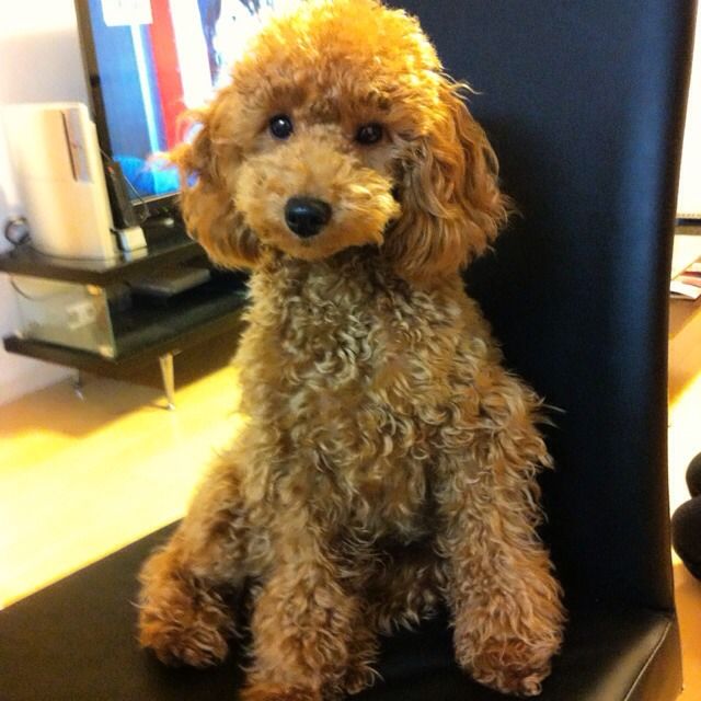 Profile Picture of teds (@teds105) on Tiktok