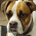 Profile Picture of Gary Squires (@benjaminrwelch) on Instagram