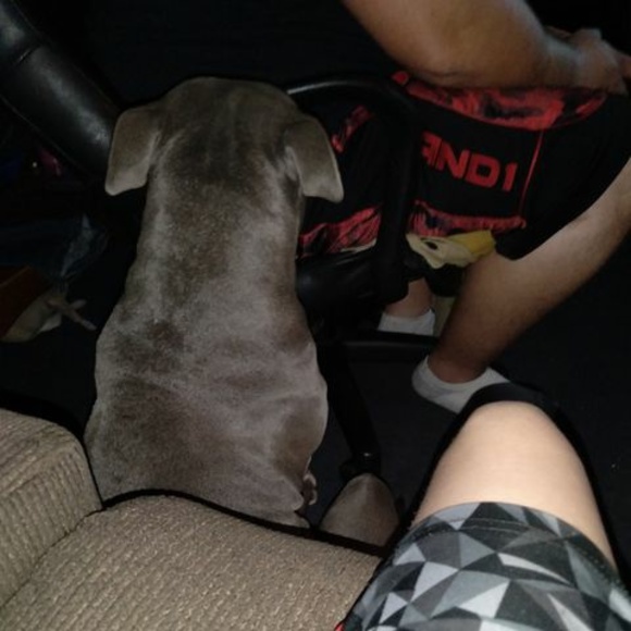 Profile Picture of Melakai Tempelaar (@melakait) on Poshmark