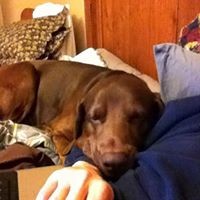 Profile Picture of Jonathan Gunter (@jonathan-gunter-4) on Quora