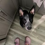 Profile Picture of Danielle Ackermann (@Danielle-Ackermann) on Facebook