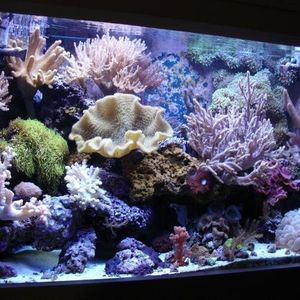 Profile Picture of Mark Beaudet (@djtechtronic) on Myspace