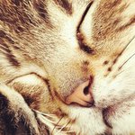 Profile Picture of Monroe Bertagna (@monroebertagna) on Instagram