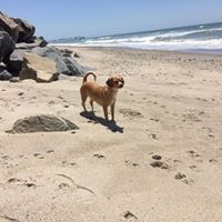 Profile Picture of Brett Kolb (@brett-kolb-1) on Quora
