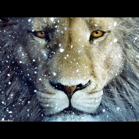 Profile Picture of Kevin Jordan (@level2323) on Poshmark