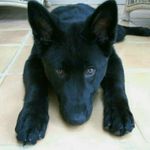 Profile Picture of CedricKidd (@cedrickidd) on Instagram