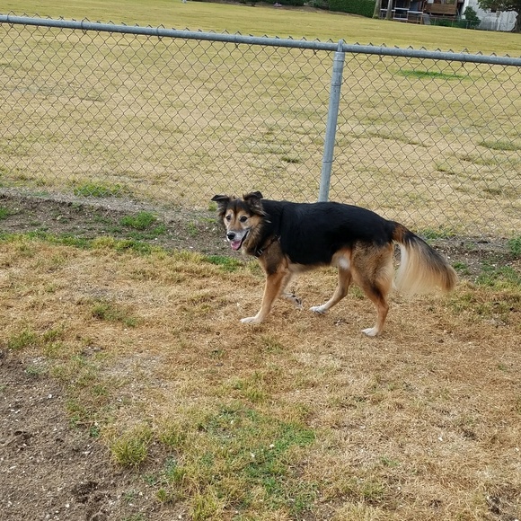 Profile Picture of Krista Meredith (@kristaw3k) on Poshmark