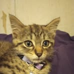 Profile Picture of Ryan Klukowski (@Ryan-Klukowski) on Facebook