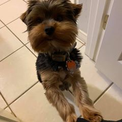 Profile Picture of Marissa Blassingame (@marissablassinga) on Tiktok